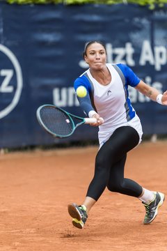 Bild 249 - BL DTV Hannover - BW Dresden Blasewitz : Ergebnis: 2:7